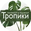 Тропики
