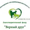 Верный друг Приют для животных