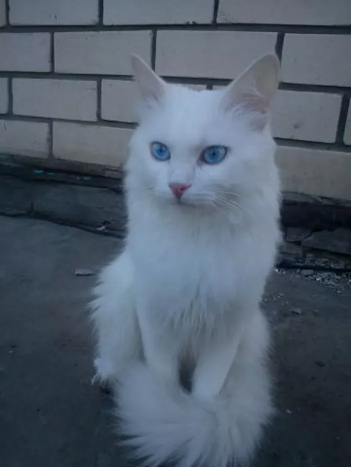 А - Н Секьюрити
