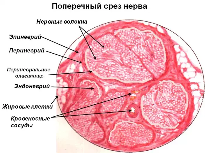 ООО «Бизнес Тайм»