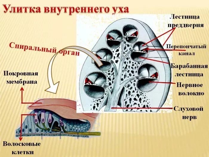 ООО «Бизнес Тайм»