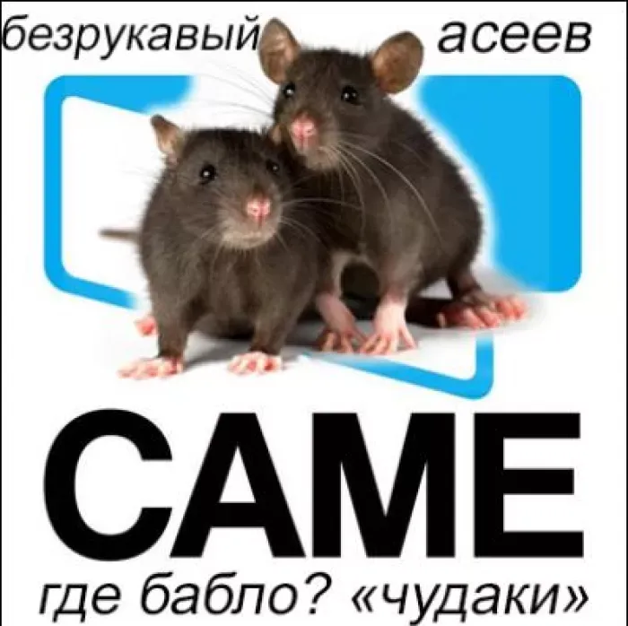 САМЕ