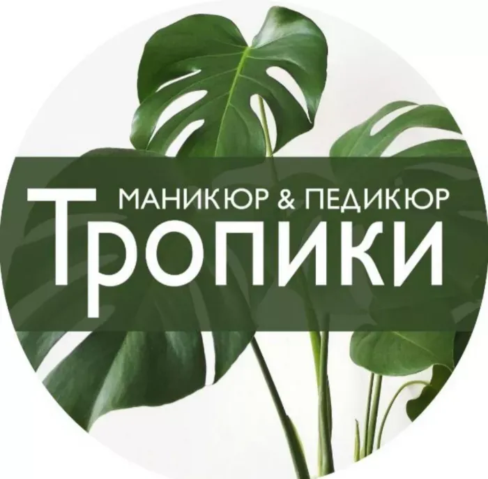 Тропики
