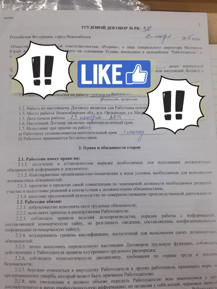 Фитородник
