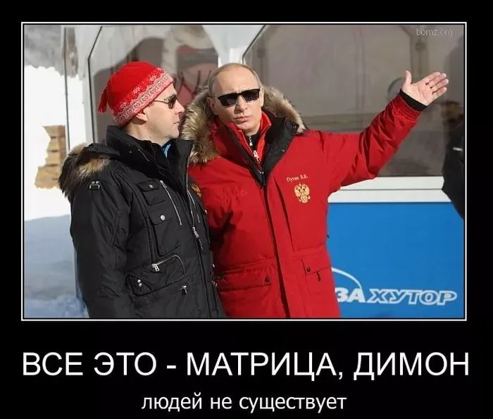шинлайф