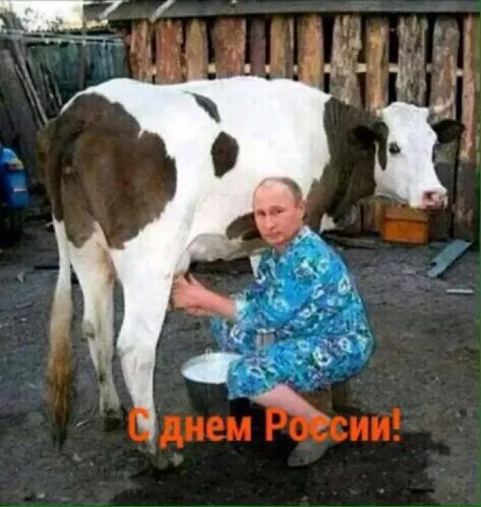 Клиниг-сантарин
